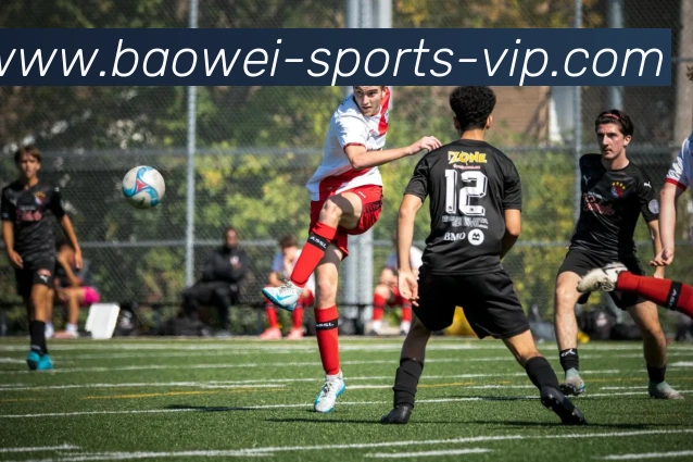 App Interface Preview