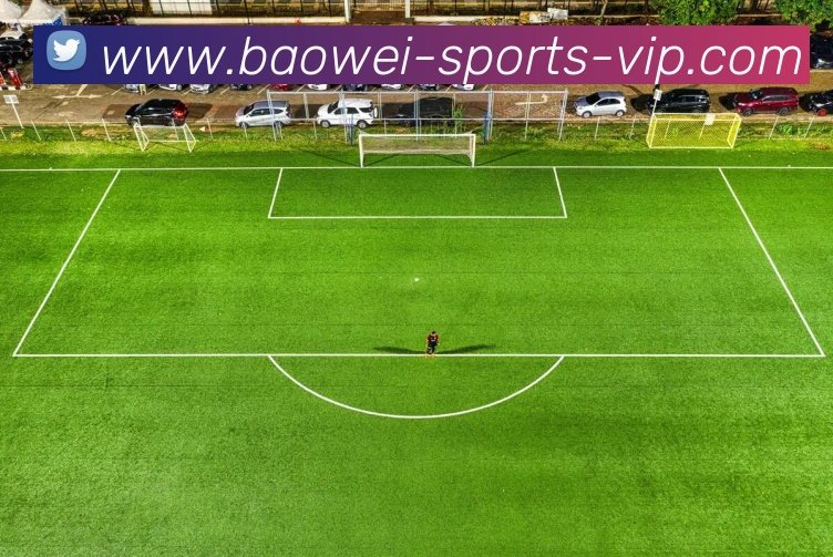 宝威体育APP 封面图